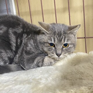 人馴れ修行中のあやめさんに家族が決まりました