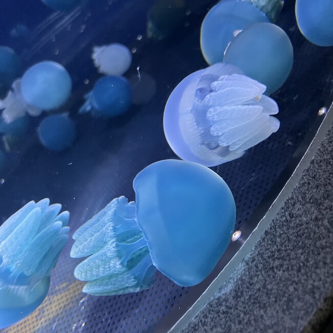 karen...83のカバー写真