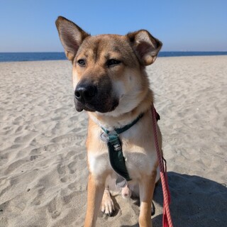 ほづみ　男の子　デカいナリした甘えんぼ