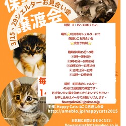 HappyCats〜猫に恩返しの会〜保護ねこたちのシェルターお見合い会