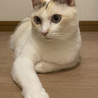 ゆずちゃん 女の子