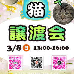 ほごねこ東京譲渡会＠尾久