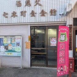 ほごねこ東京譲渡会＠尾久 サムネイル3