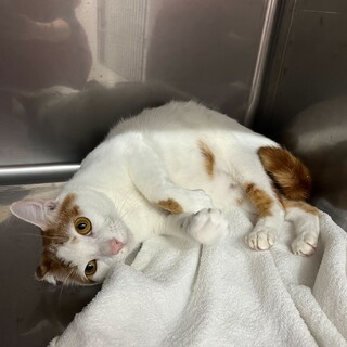 クールボーイから甘えん坊になったこういち