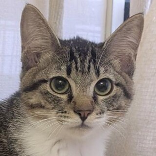 キャシャな男の子♡メアリーくん