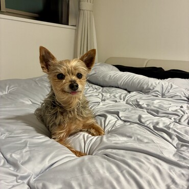 ベットの上が1番好き