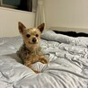 ベットの上が1番好き