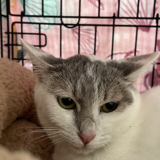 唯一無二の個性的な美人さん♪