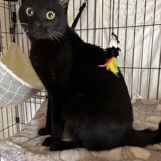 3/22西千葉ෆ⃛人馴れ抜群ෆ⃛タローちゃん