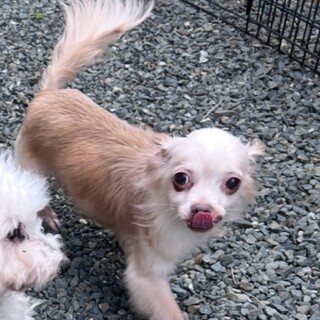 『ぶった』シニアだけど、まだまだ元気