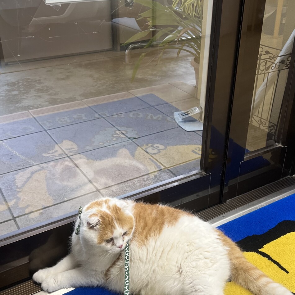 オサム(awesome)のカバー写真