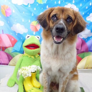 元気いっぱいのあさひ☆