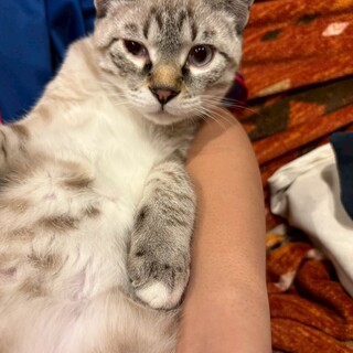 元気で人大好き、甘えん坊くっつき虫の『なご』くん