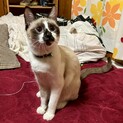 迷子だったくるちゃん。