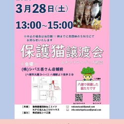 子猫～シニア猫❤埼玉県八潮市　㈱シバ工芸店舗前(TX線八潮駅から徒歩２分)