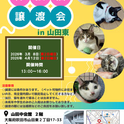第２７回nekomeeting保護猫譲渡会in山田東