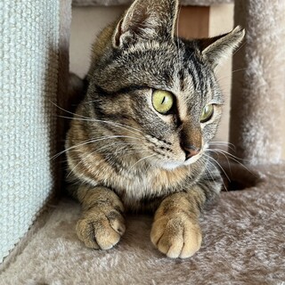 とっても甘えたさん