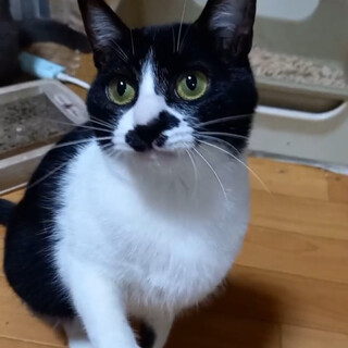 慣れたらスリゴロ避妊済なつめちゃん