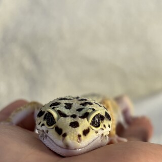 沢山の応募ありがとうございます。