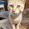 抱っこ大好きの甘えん坊 サムネイル3
