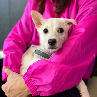 恐がりだけど、慣れると甘えん坊で可愛さ全開のわた君