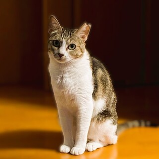 ◆3/20◆気品のある慎重派女子♥あーちゃん