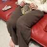 モルモット２匹　2歳5ヶ月 サムネイル3