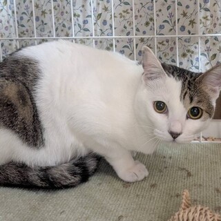 穏やかな❤️はなわちゃん