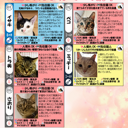 ３月7日（土）「保護猫の譲渡会」参加猫一覧