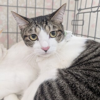 とっても甘えん坊❤️うみくん