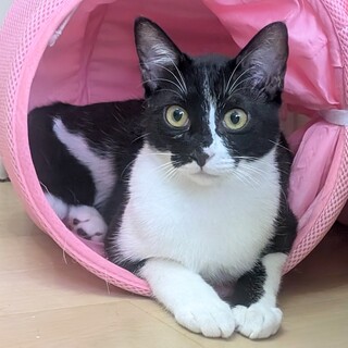 ビビリから甘えん坊に❤️玄太くん