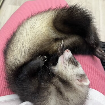 愛しいすぎる♡