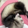 愛しいすぎる♡
