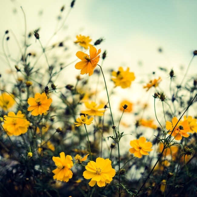 ruru46のカバー写真