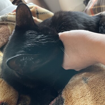 ずぼ