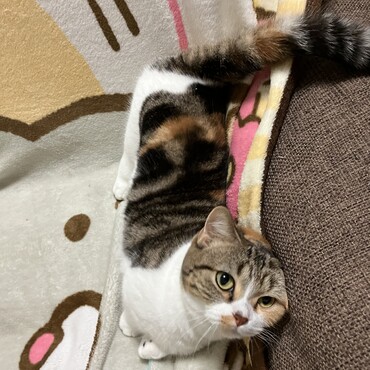 の写真