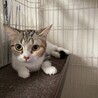 の写真