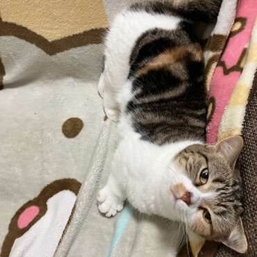 の写真