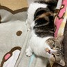 の写真