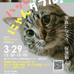 ハッピーニャンダフル！家族になろう、保護猫と。
