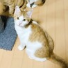 ◆3/20◆まんまる見開きお目めの❤ハッチ サムネイル2