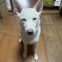 9ヶ月 甘えん坊 男の子