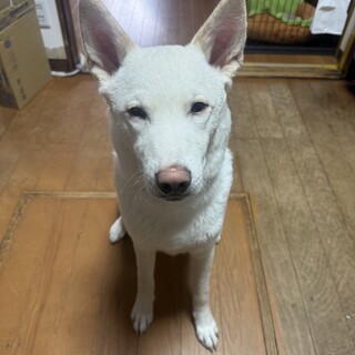 9ヶ月 甘えん坊 男の子