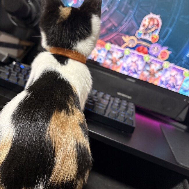 haru0kichiのカバー写真