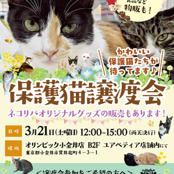保護猫譲渡会@オリンピック小金井店