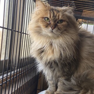 抱っこが大好きな女の子