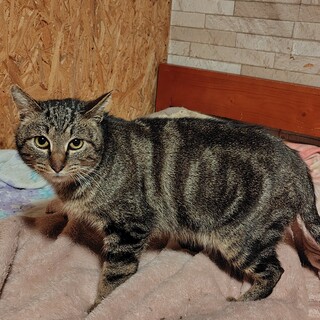 ヘブン　渦巻き模様