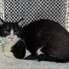 ホクロがカワイイ女の子 サムネイル3