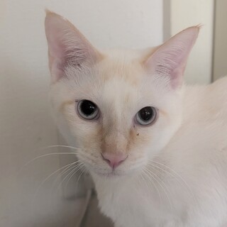 ビビリで無邪気なたっちゃん