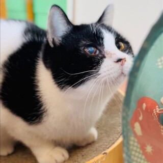 【4/19恵比寿】天真爛漫♪フレンドリーな明るい子